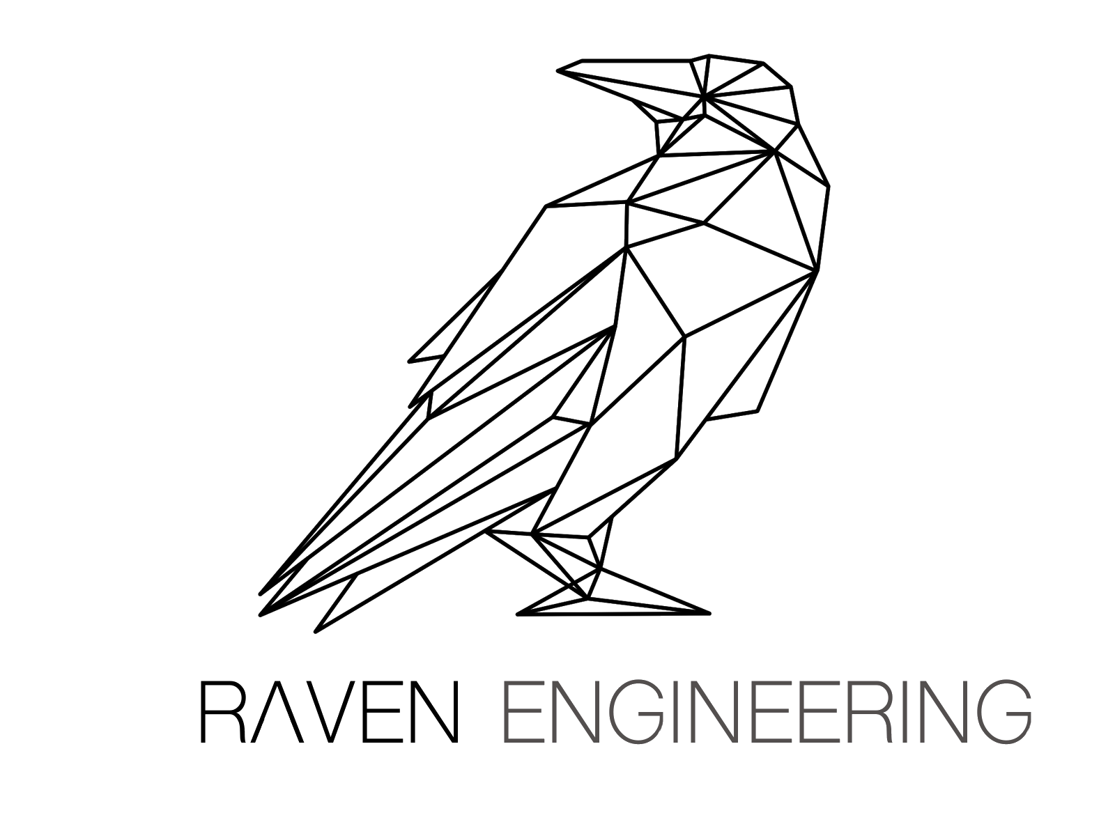 Raven Engineering Logo